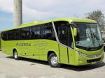 Marcopolo Audace 2012 года